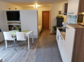 modernes Appartement Schwarzwald Nähe Freiburg Winden Im Elztal